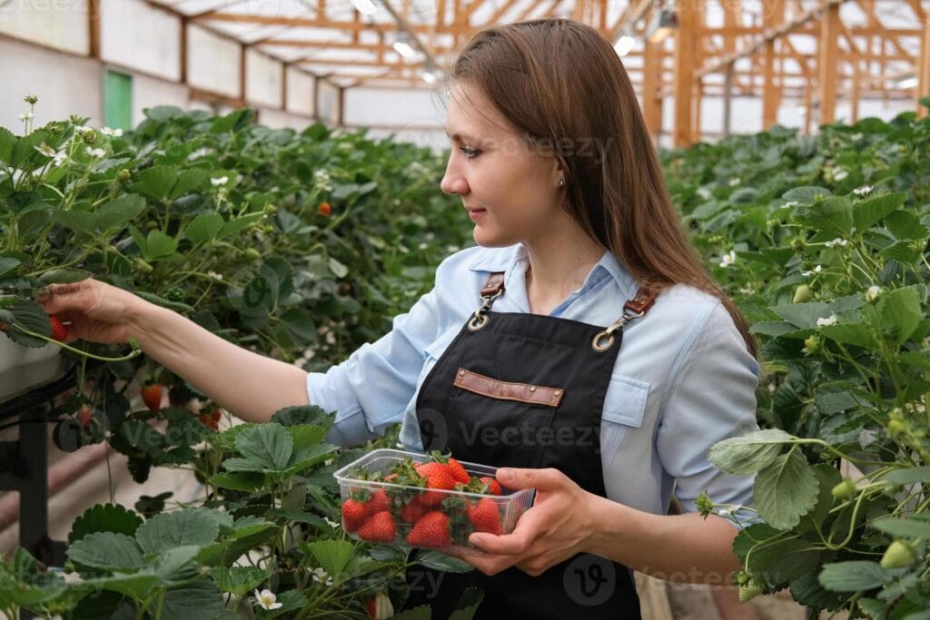 Diploma in Eco-Farming and Horticulture Technology